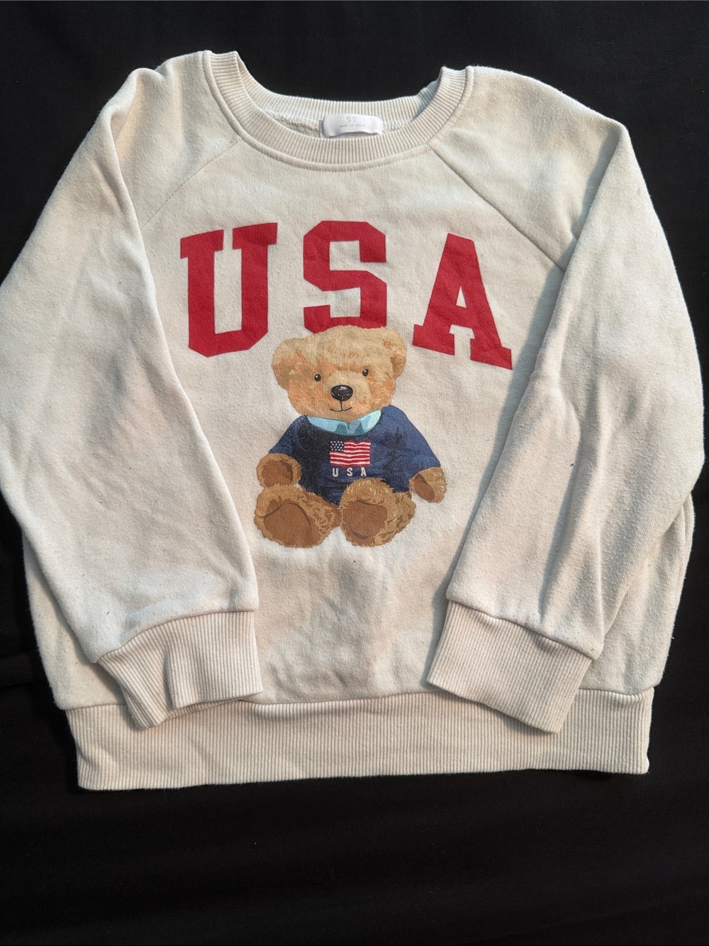 Cream Crewneck Sweatshirt with Teddy & USA Print